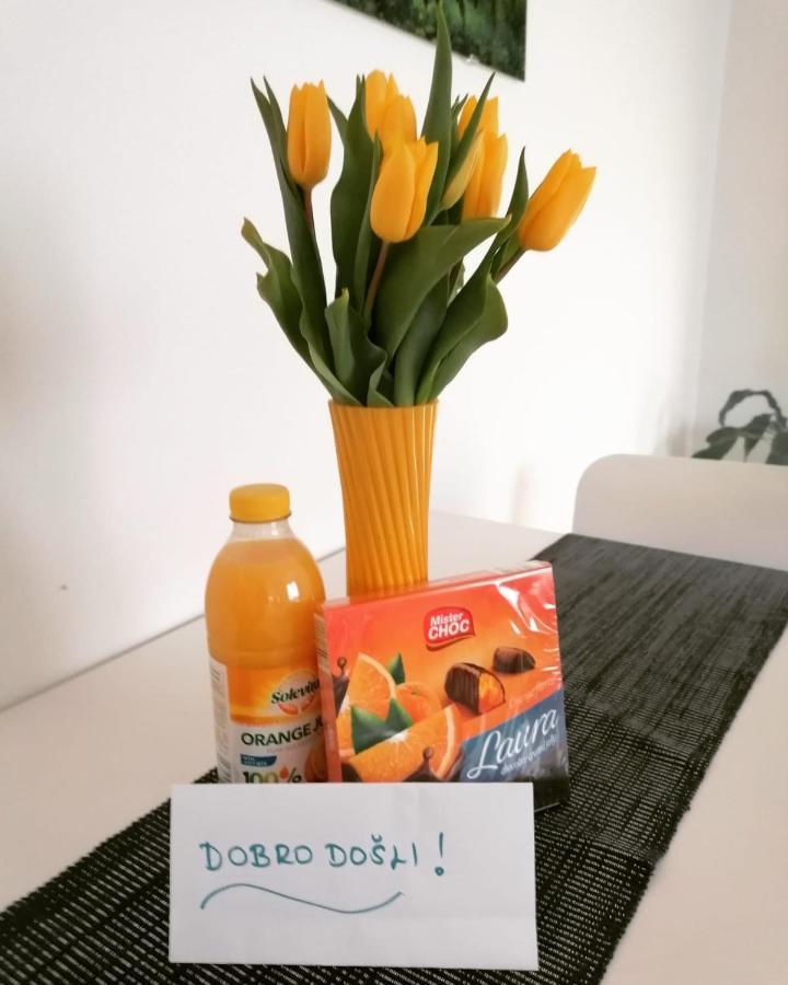Apartment Mrvica Near The Zagreb Airport ヴェリカ・ゴリツァ エクステリア 写真