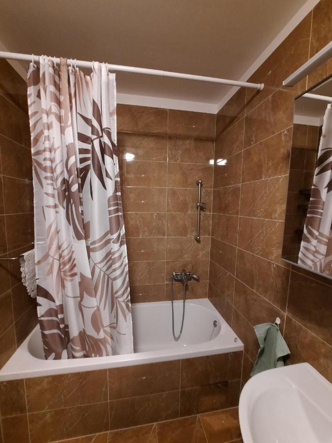 Apartment Mrvica Near The Zagreb Airport ヴェリカ・ゴリツァ エクステリア 写真