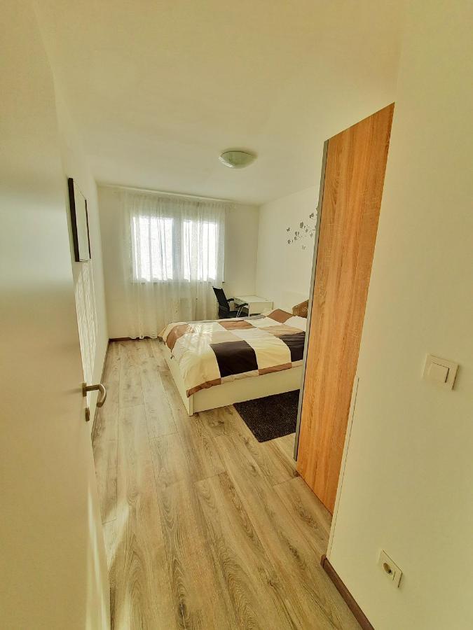 Apartment Mrvica Near The Zagreb Airport ヴェリカ・ゴリツァ エクステリア 写真